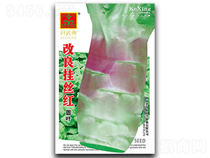 ������z�t-�n�S�N��-���d�N�I(y��)