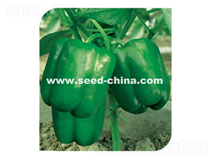 ����������-�����N��-���·N�I(y��)