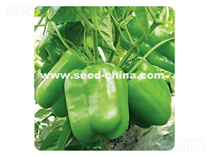 ���108-�����N��-���·N�I(y��)