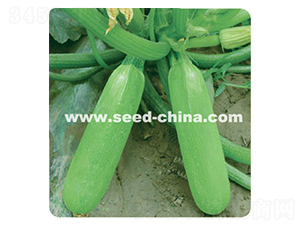 �G����-�����J�N��-���·N�I(y��)