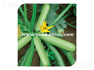 ِ��-�����J�N��-���·N�I(y��)