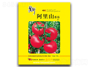 ����ɽ-���ѷN��-���·N�I(y��)