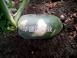 �G��1̖ˮ���}��-�}���N��-�Aʢ�_