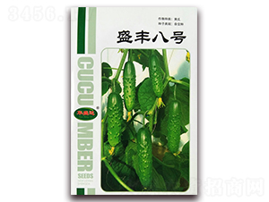 ʢ�S��̖-�S�ϷN��-�Aʢ�_