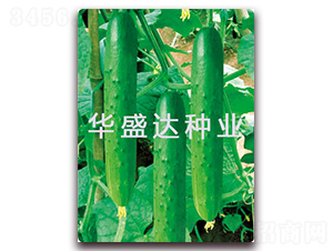 ���﹝(ji��)��-�S�ϷN��-�Aʢ�_