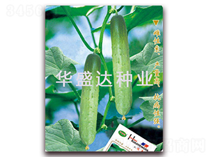 ����-�S�ϷN��-�Aʢ�_