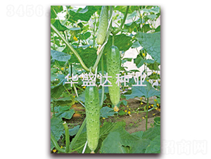 ʢ�_116-�S�ϷN��-�Aʢ�_