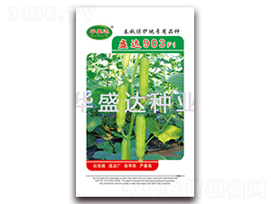 ʢ�_903F1-�S�ϷN��-�Aʢ�_