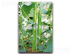 ʢ�_C19-�S�ϷN��-�Aʢ�_