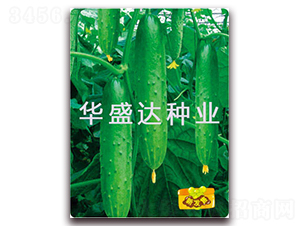 ʢ�_2̖-�S�ϷN��-�Aʢ�_