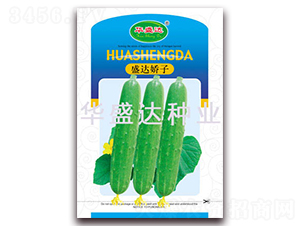 ʢ�_(d��)����-�S�ϷN��-�Aʢ�_(d��)