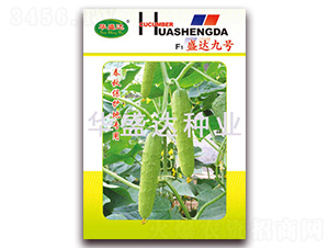 F1ʢ�_��̖-�S�ϷN��-�Aʢ�_