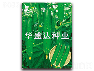 ʢ�_(d��)3̖(h��o)-�S�ϷN��-�Aʢ�_(d��)