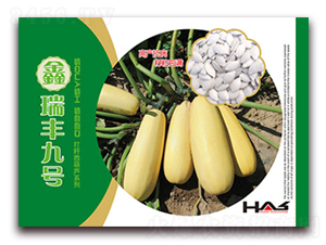 �����S��̖(h��o)-���������J�N��-�β���