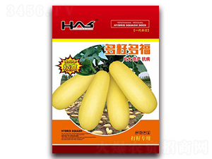 ���Ѷร-���������J�N��-�β���