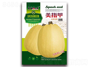 ��ָ��-���������J�N��-�β���