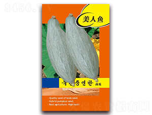 �����~-�ϹϷN��-�β���