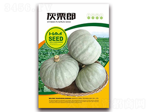 ������-�ϹϷN��-�β���