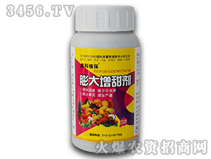 ���������-������˹