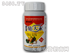 ���o�����-������˹