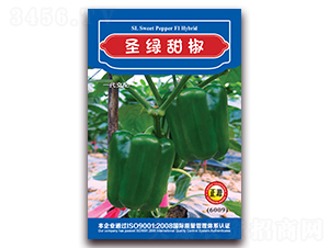 ʥ�G�𽷣�6009��-�����N��-�����r(n��ng)