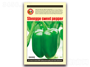 ʥ���𽷣�6008��-�����N��-�����r(n��ng)