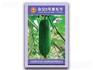 �s��8̖(h��o)��ë��(ji��)��-��(ji��)�ϷN��-�����r(n��ng)