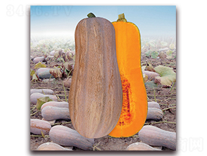 ���r(n��ng)2̖�۱��Ϲϣ�1245��-�ϹϷN��-�����r(n��ng)