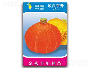 �����|��-�ϹϷN��-�����S��