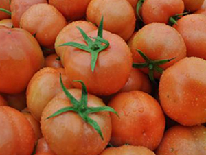 ��ӯ��̖-���ѷN��-�����S��