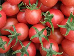 Сؐ-���ѷN��-�����S��