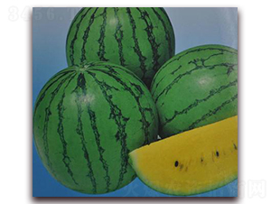 ���m-���ϷN��-�����S��