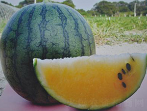 �Θ�-���ϷN��-�����S��