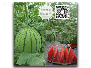 �¸ɾ�һ̖(h��o)-���ϷN��-�¸ɾ�