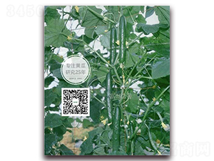 ���A��̖(h��o)-�S�ϷN��-�¸ɾ�