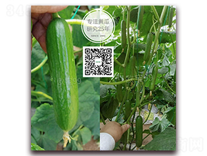 �W��99���m-ˮ���S�ϷN��-�¸ɾ�