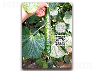 ��Ԫ��̖(h��o)-�ܴ��S�ϷN��-�¸ɾ�