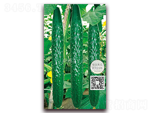 ׿Խ2̖(h��o)-�ܴ��S�ϷN��-�¸ɾ�