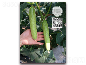 ���P-�S�ϷN��-�¸ɾ�