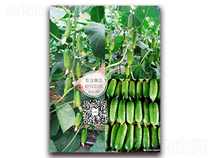 �r��-�S�ϷN��-�¸ɾ�