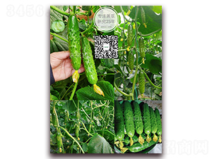 δ��103-�S�ϷN��-�¸ɾ�