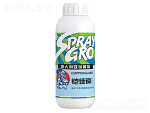 �z���~���z�w�~��-������