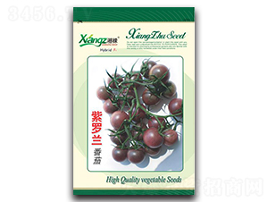 ���_�m����-���ѷN��-���߷N�I(y��)