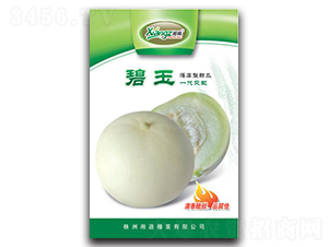 ����-��ϷN��-���߷N�I(y��)