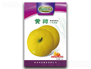 �S��-��ϷN��-���߷N�I(y��)