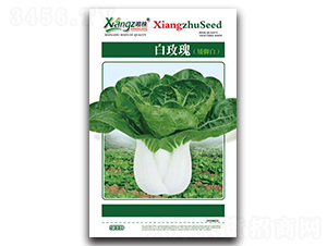 ��õ��-��˷N��-���߷N�I(y��)