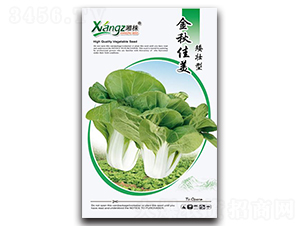 �������-��˷N��-���߷N�I(y��)