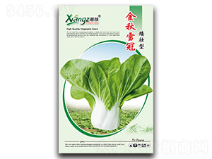 ����ѩ��-��˷N��-���߷N�I(y��)