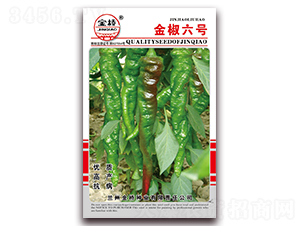 ����̖-�����N��-���N�I(y��)