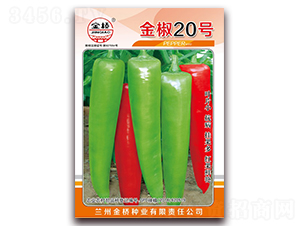 ��20̖-�����N��-���N�I(y��)